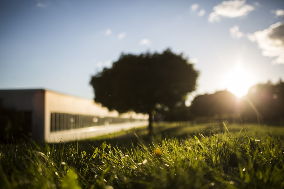 OKA Büromöbel Produktionshalle im Grünen