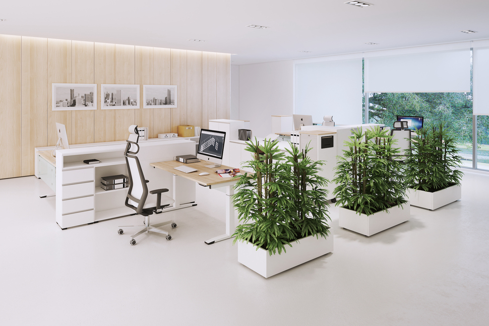 Hübsch bepflanzte Gefäße sind nicht nur ein schöner Blickfang, sondern auch gut für Raumklima, Konzentration und vieles mehr