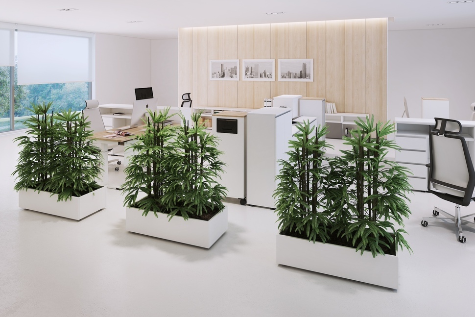 Die Natur ins Büro hereinzulassen, kann Stress reduzieren und das Wohlbefinden steigern.