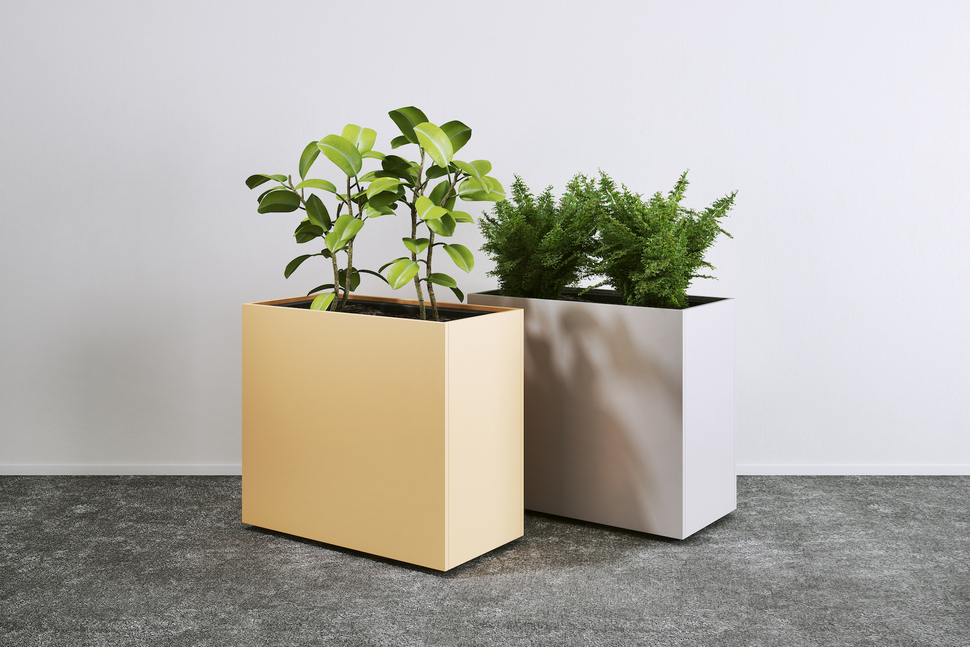 Die OKA PlanterBox bringt Farbe ins Office – ob am Empfang oder in den Büros selbst.