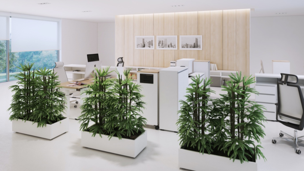 Pflanzen machen in der OKA PlanterBox auf jeden Fall eine gute Figur